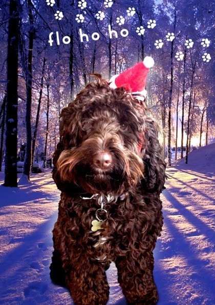 Merry Christmas to all our customers!